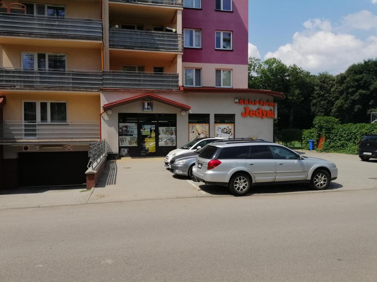 Apartament Witkiewicza Sanok Eksteriør bilde
